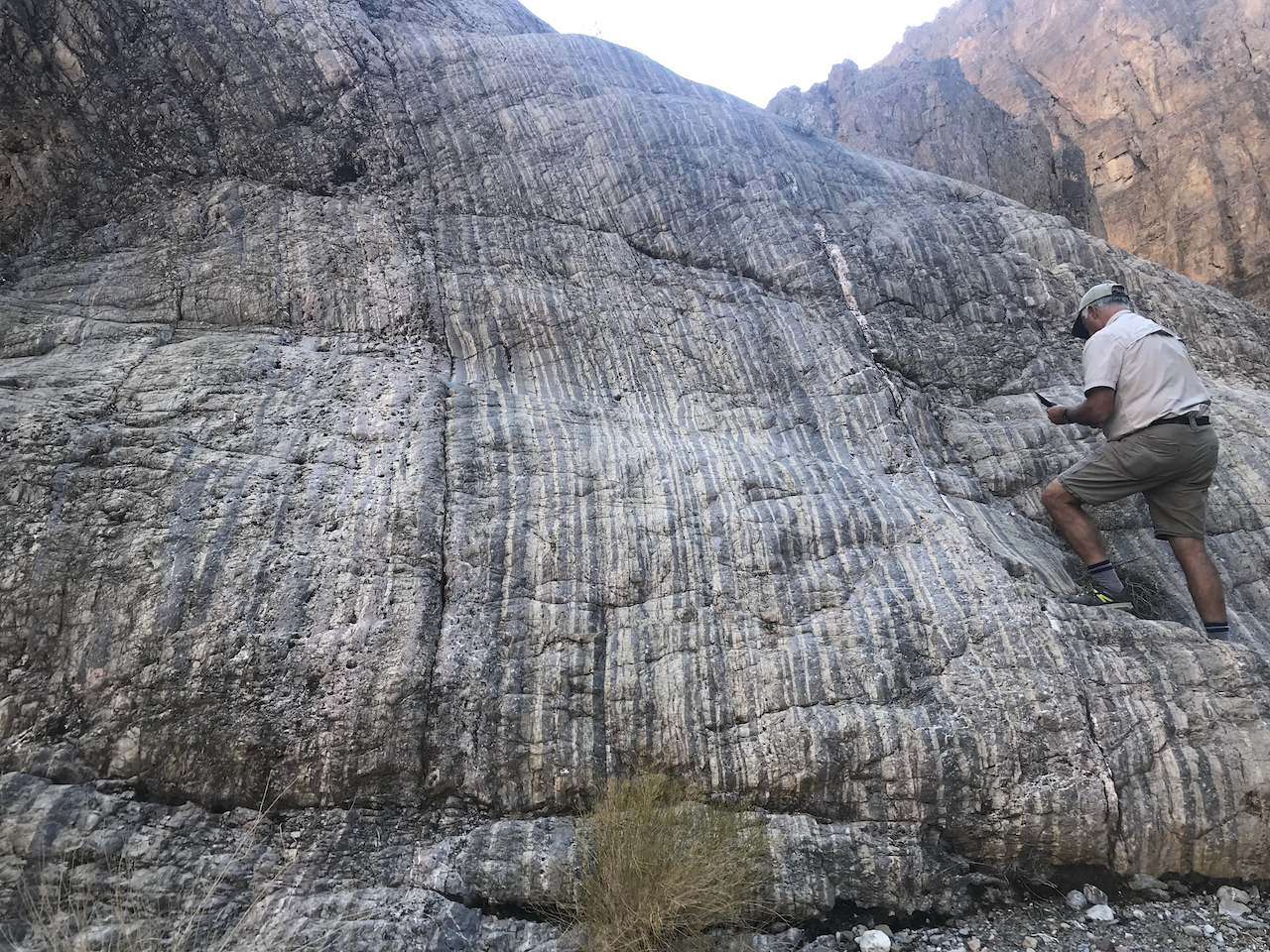 Cambrian Banded Mtn. Mbr., Bonanza King Fm. Death Valley, Califronia. January 2022 Death Valley Fieldtrip.